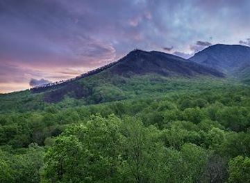 tennessee/pigeon-forge/attraction/carlos-c-campbell-overlook