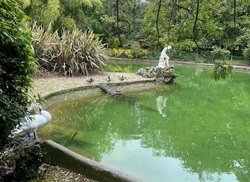 spain/san-sebastian/attraction/donostiako-zuhaitzik-garaiena