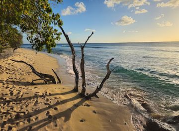 barbados/mullins-beach/attraction/heywoods-beach
