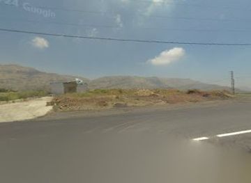 lebanon/horsh-ehden/attraction/tann