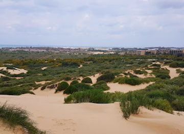israel/caesarea/attraction/diyonot-keisaria