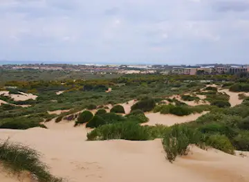 דיונות קיסריה