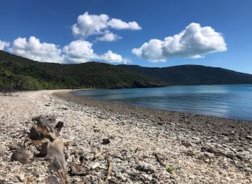australia/airlie-beach/attraction/coral-beach