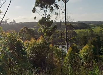 south-africa/east-london/attraction/amalinda-nature-reserve