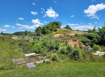 tennessee/appalachian-mountains/attraction/gray-fossil-site