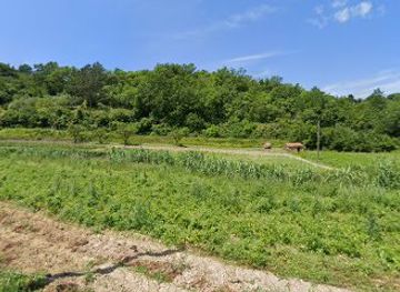 slovenia/izola/attraction/hudournik-roja