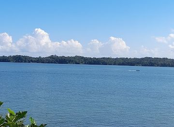 guatemala/rio-dulce/attraction/muelle-municipal