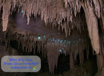 new-zealand/northland/attraction/waipu-caves-farm-park