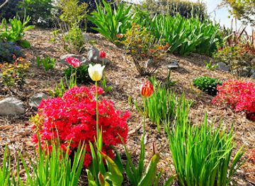 washington/the-skagit-valley/attraction/lincoln-theatre-1926