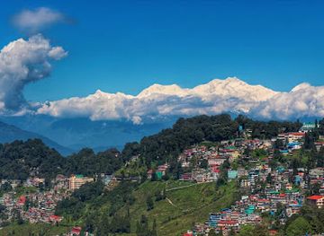 india/darjeeling/tiger-hill/attraction/shrubbery-nightingale-park