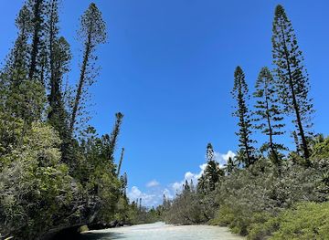 new-caledonia/ile-des-pins/attraction/riviere-de-sable-d-oro