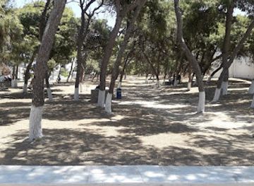 greece/paros/attraction/dasyllio