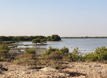 qatar/al-thakira-mangroves/attraction/dhakira-rock-view