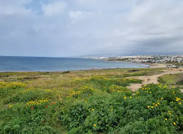 View point