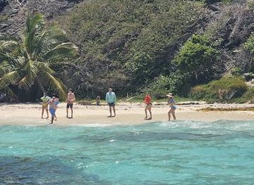 saint-vincent-and-the-grenadines/barrouallie/attraction/topdawg-taxi-and-tours