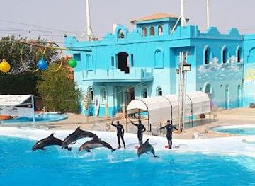 egypt/sharm-el-sheikh/attraction/dolphina