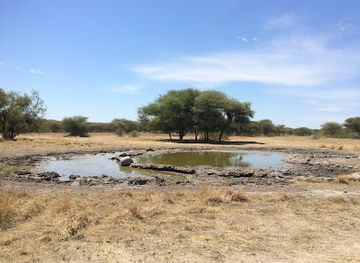 south-africa/kgalagadi-transfrontier-park/attraction/central-kalahari-game-reserve