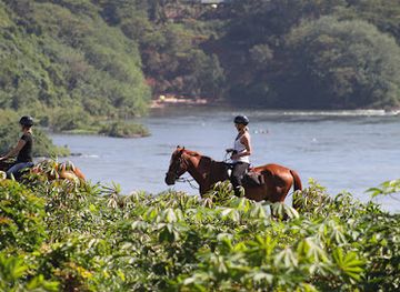 uganda/jinja/attraction/nile-horseback-safaris