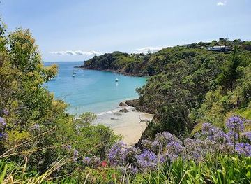 new-zealand/auckland/attraction/oneroa-beach