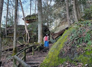 kentucky/natural-bridge-state-resort-park/attraction/balanced-rock