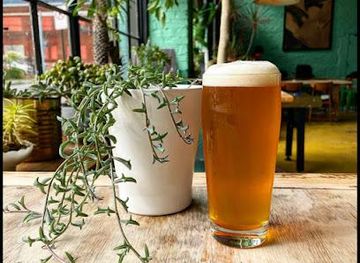 virginia/roanoke/attraction/golden-cactus-brewing