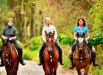 south-africa/cape-town/attraction/cape-winelands-riding