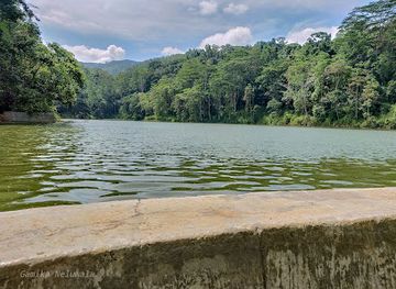 sri-lanka/kilinochchi-district/attraction/dunumadalawa-forest-reserve