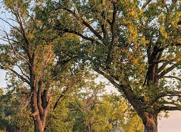 iowa/historic-hills-scenic-byway/attraction/lewis-and-clark-state-park