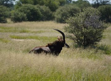 namibia/okahandja/attraction/waterhole-watching-point