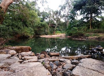 india/chhattisgarh/attraction/sirpur-forest-range