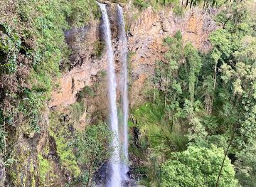 australia/mid-north-coast/attraction/rawson-falls-walk