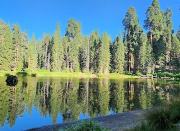 california/sequoia-national-park/attraction/balch-park