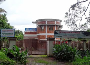 india/kerala/attraction/bay-island-driftwood-museum