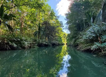 costa-rica/southern-zone/attraction/nacarcosta-wildlife-adventure