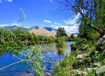 montana/missoula/attraction/mccormick-park