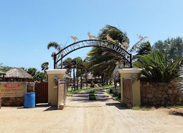 aruba/fontein-cave/attraction/philip-s-animal-garden