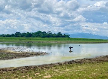 sri-lanka/udawalawe-national-park/attraction/udawalawe-safari-jeep-with-guide