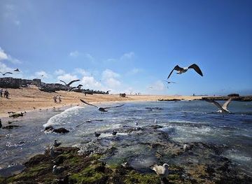 morocco/doukkala-abda/attraction/lagune-de-oualidia