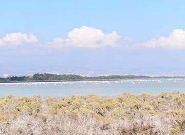 cyprus/limassol-district/attraction/limassol-salt-lake