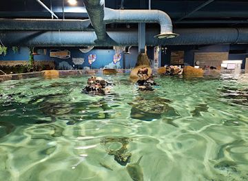 new-jersey/north-jersey/attraction/seaquest-woodbridge