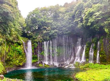 japan/izu/attraction/shiraito-falls
