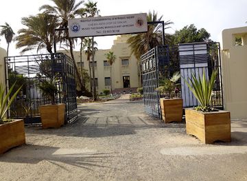 senegal/dakar-region/attraction/ifan-museum-of-african-arts