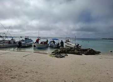 mexico/tulum/attraction/tulum-tours-l-paradise-adventours-tours-en-tulum