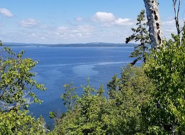 maine/downeast/attraction/witherle-woods