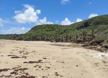 puerto-rico/isabela/attraction/cueva-golondrinas-beach
