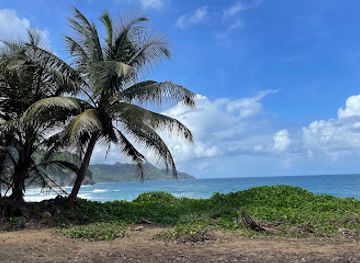 dominica/hampstead-beach/attraction/boute-sabe-beach