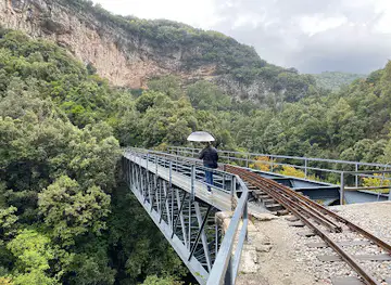The Little Train of Pelion