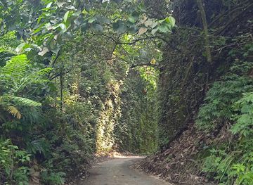 indonesia/north-sumatra/attraction/tebing-janda