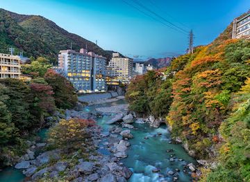 japan/kai/attraction/kinugawa-onsen-fureai-bridge
