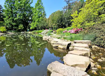 Japanese Garden